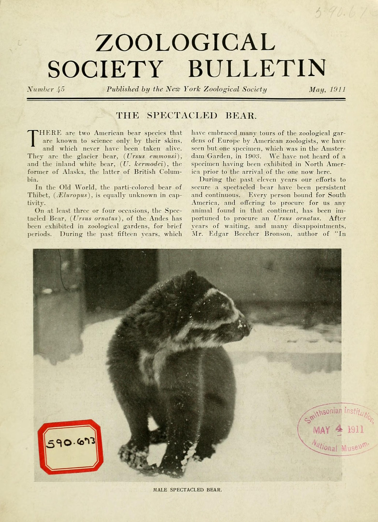 Schwarzes und weißes Foto eines Waschbären auf dem Cover einer zoologischen Gesellschaftszeitschrift mit Text.