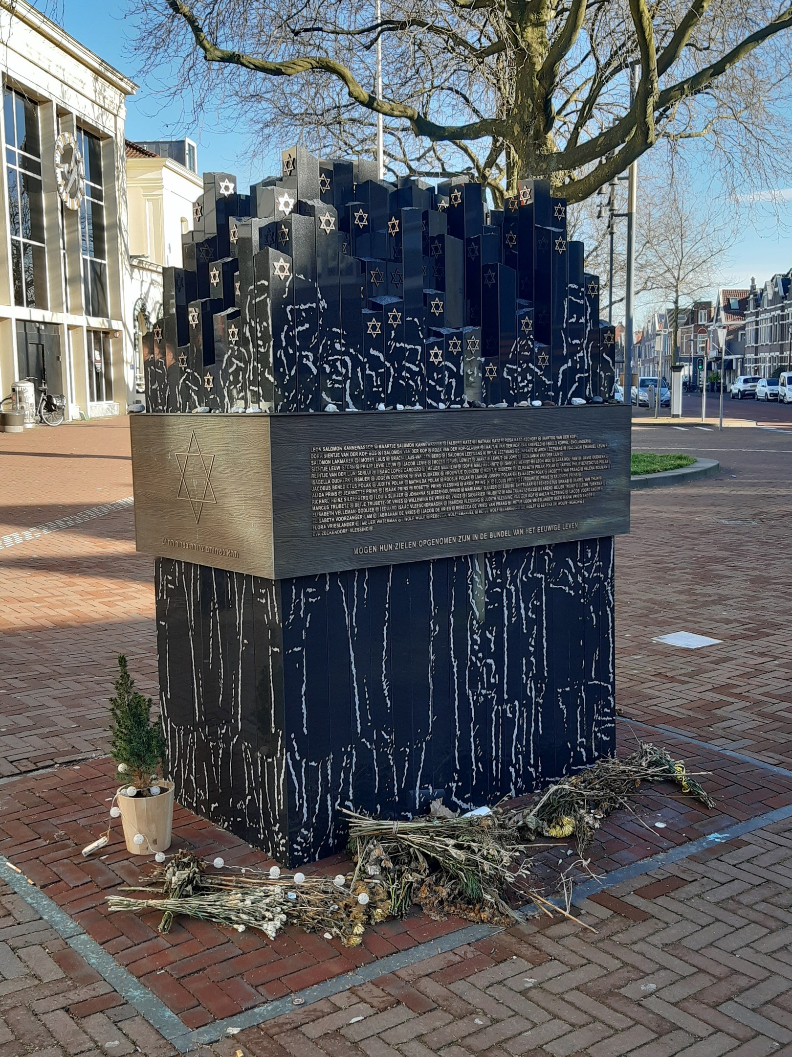Denkmal in einem Stadtplatz für Holocaust-Opfer mit einem Baum davor, einem Topfgewächse auf dem Boden, verstreuten trockenen Blättern und Gebäuden, Fahrzeugen, Masten und Bäumen im Hintergrund.
