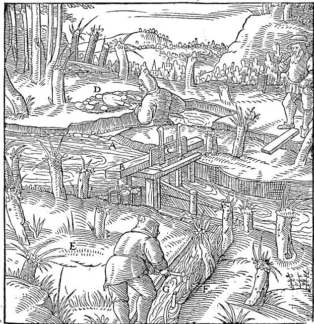 Eine Schwarzweiß-Gravur eines Mannes, der in einem bewaldeten Gebiet arbeitet, umgeben von Bäumen, Pflanzen und Gegenständen, mit dem Text "Die Werkstatt des Holzfällers" unten.