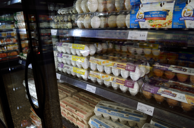 Ein Kühlgerät in einem Supermarkt, das verschiedene Eierarten in ordentlichen Regalen mit angehängten Preisschildern zeigt, vor einem leicht unscharfen Hintergrund.