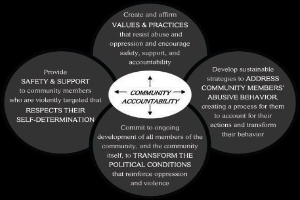 Ein Diagramm mit der Bezeichnung "Gemeinschaftliche Rechenschaftspflicht" mit einem zentralen Kreis, der durch Pfeile mit drei überlappenden Kreisen verbunden ist, alles in fetter, leuchtender Farbe.