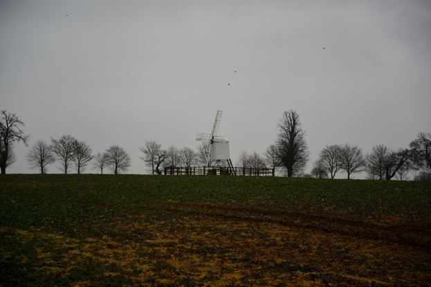 Eine Windmühle steht in einem eingezäunten Feld mit Bäumen, unter einem bewölkten Himmel mit Vögeln in der Luft.