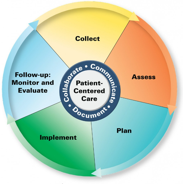 Kreisförmige Diagramm mit der Überschrift "patientenorientierte Pflege" mit vier farbigen Abschnitten, die jeweils mit einem spezifischen Aspekt der Pflege beschriftet sind, auf einem weißen Hintergrund.