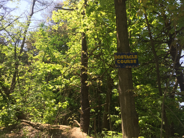 Crosslauf am Inselsberg - Messerpokallauf in Steinbach 20.6.26