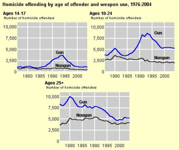 Grafik, die die Tötungsdelikte nach Alter des Täters und Waffennutzung von 1976 bis 2004 zeigt, mit begleitendem erklärendem Text.