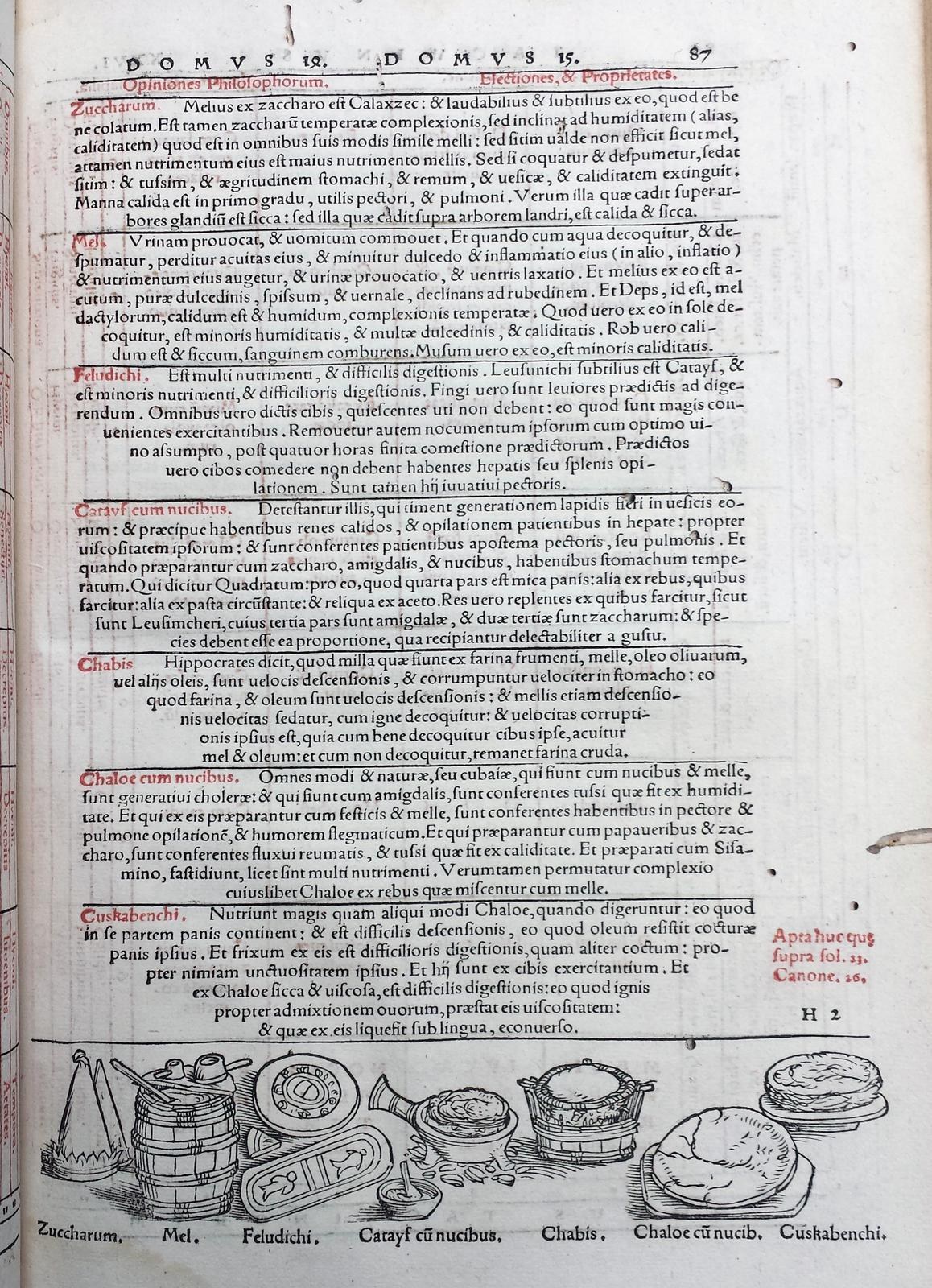 Ein aufgeschlagenes Buch mit einer detaillierten Illustration von Obst, Gemüse und Getreide sowie buntem, variierendem Text.