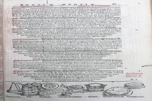 Ein aufgeschlagenes Buch mit einer detaillierten Illustration von Obst, Gemüse und Getreide sowie buntem, variierendem Text.