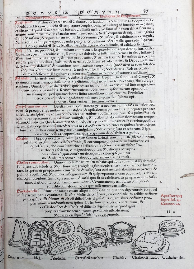 Ein aufgeschlagenes Buch mit einer detaillierten Illustration von Obst, Gemüse und Getreide sowie buntem, variierendem Text.