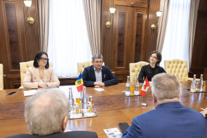 Eine Gruppe von Menschen in einem formellen Setting sitzt um einen Holztisch mit EU-Flaggen, diskutiert das wirtschaftliche Potenzial und ist von Flaschen, Papieren und Mobiltelefonen umgeben.