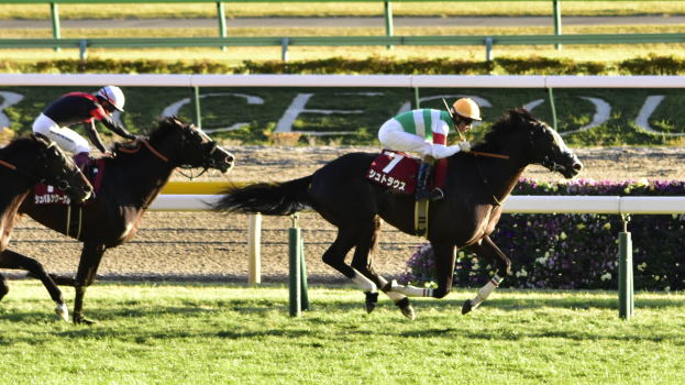 Zwei Jockeys auf Pferden bei einem Rennen auf einer Strecke umgeben von Grün, mit einer Absperrung und einer Tafel im Hintergrund.